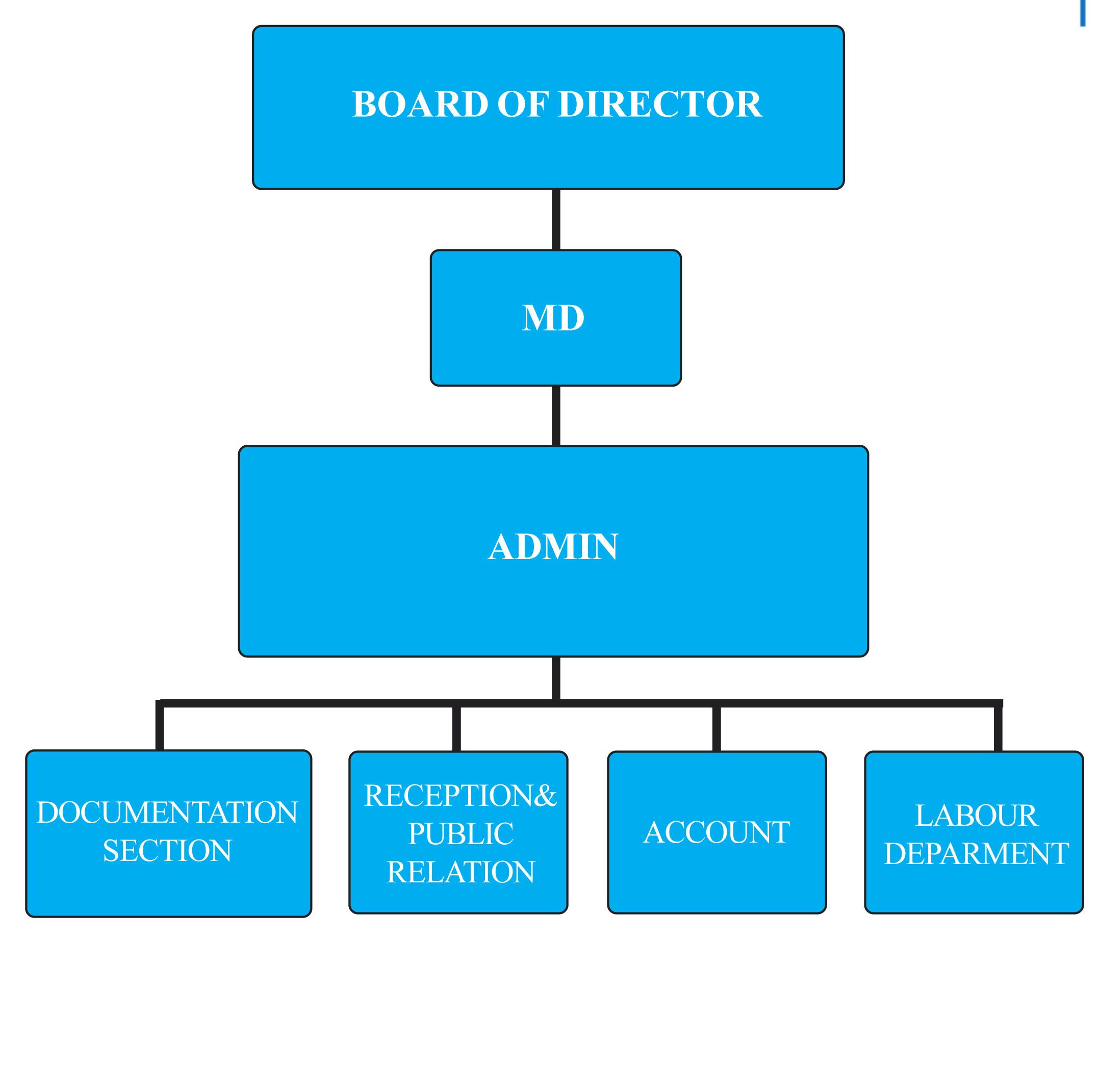 Organizational Chart